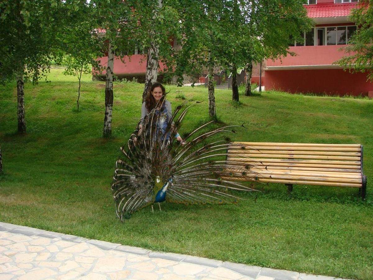 Ani Resort Artavaz Dış mekan fotoğraf