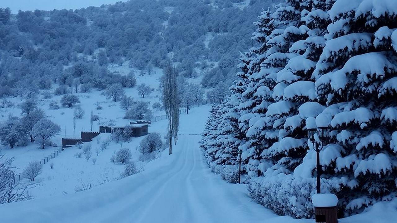 Ani Resort Artavaz Dış mekan fotoğraf
